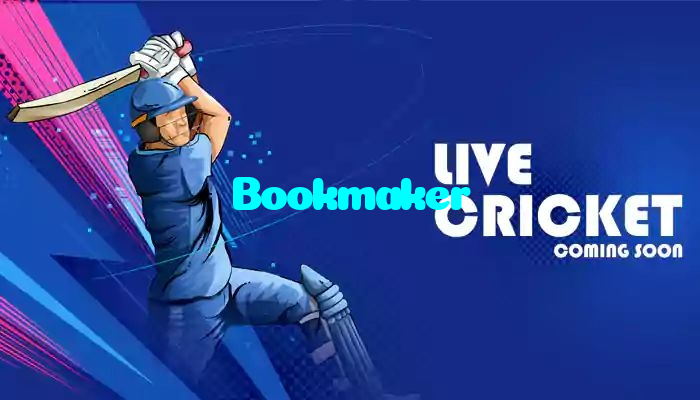 available types of Bookmaker bet including pre-match live express and system bets